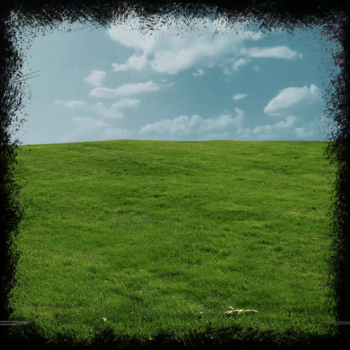 GLOBAL sWARMING BEUPFORLIFE.com