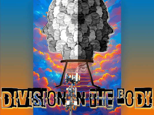 DIVISION IN THE BODY - BEUPFORLIFE.com