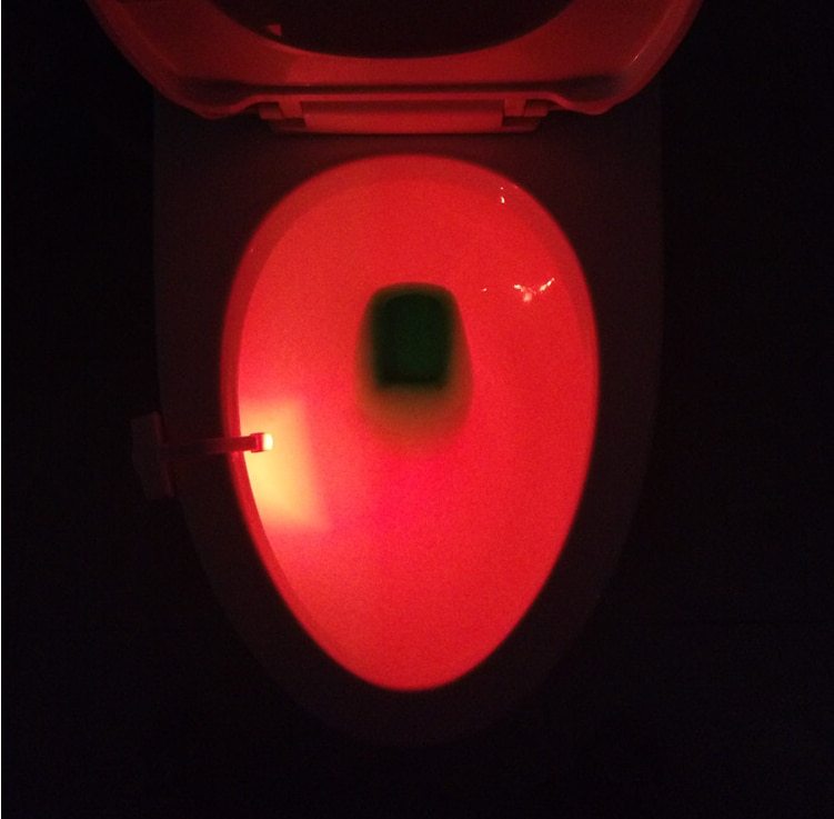 Toilet LED Night Light Be Up For Life
