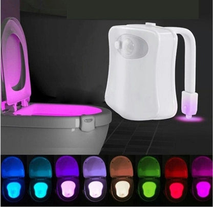 Toilet LED Night Light Be Up For Life