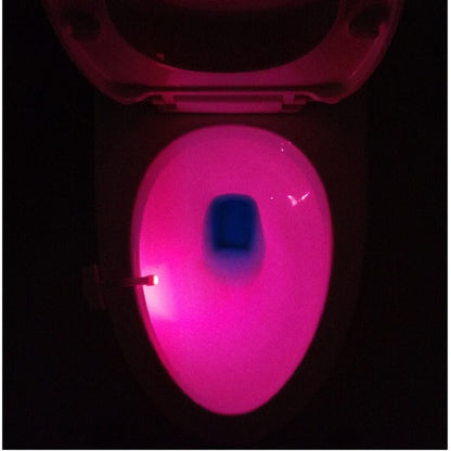 Toilet LED Night Light Be Up For Life