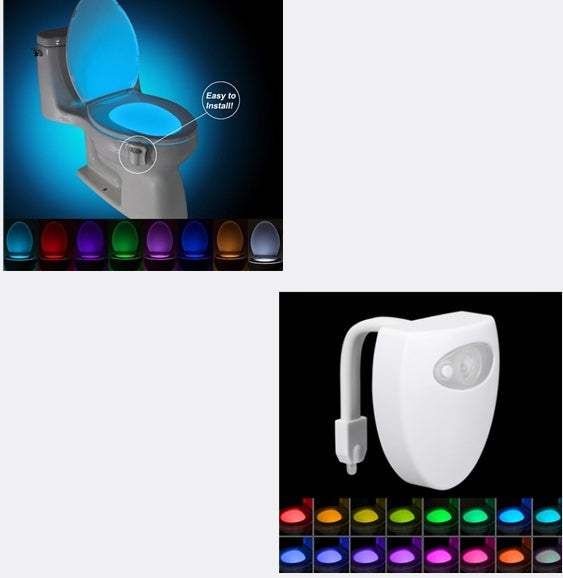 Toilet LED Night Light Be Up For Life