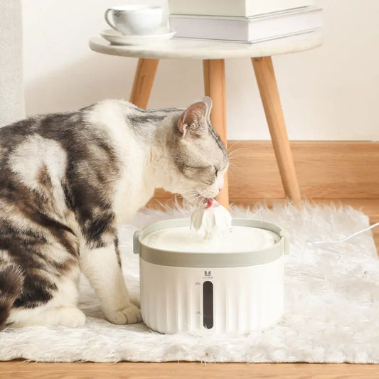 Pet waterer - BEUPFORLIFE.com