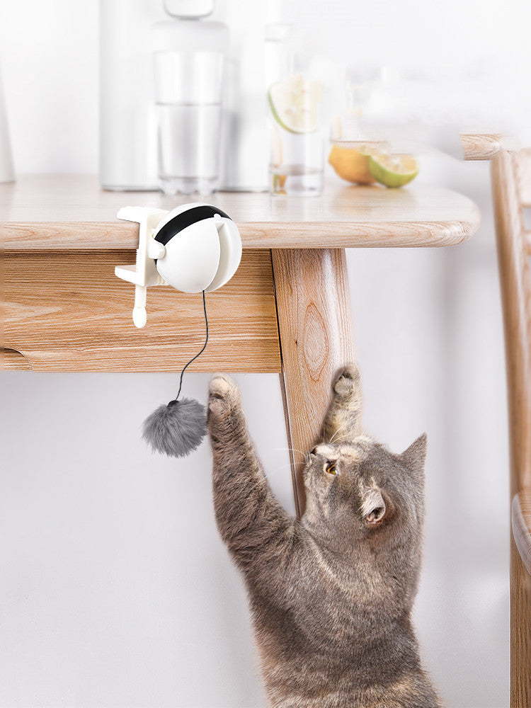 Electric Automatic Lifting Motion Cat Toy Be Up For Life