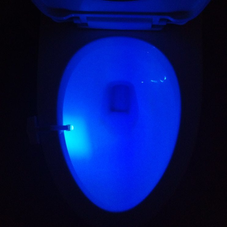 Toilet LED Night Light Be Up For Life