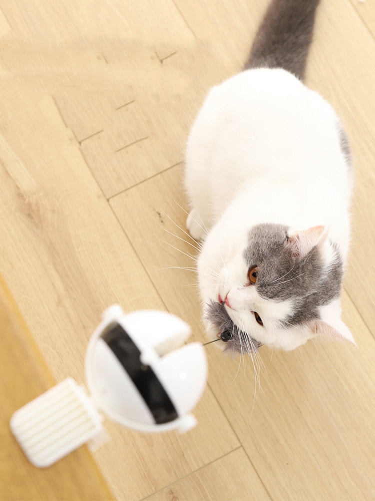 Electric Automatic Lifting Motion Cat Toy Be Up For Life