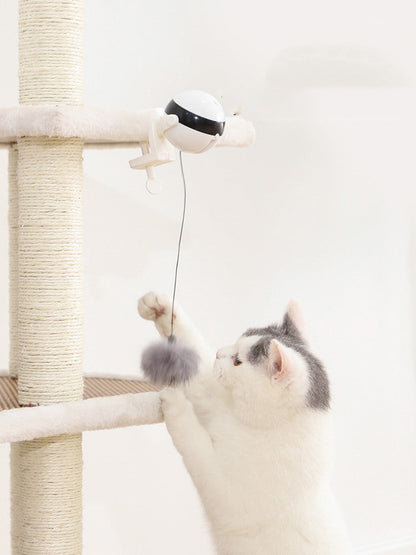 Electric Automatic Lifting Motion Cat Toy Be Up For Life