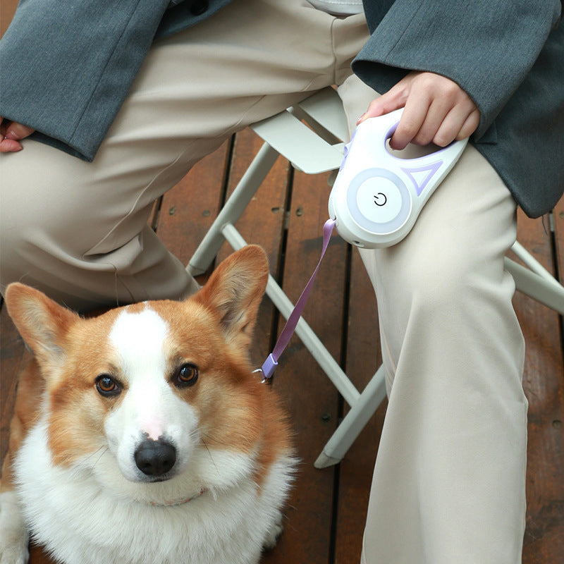 Retractable Dog Leash Be Up For Life